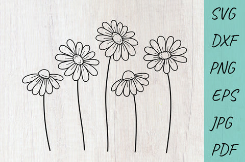 Flower SVG, Daisy SVG, wildflowers SVG, Cute flowers SVG Irina Ostapenko 