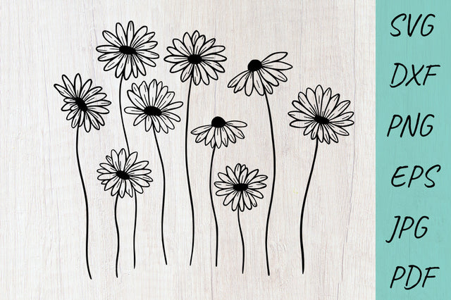 Flower svg, Daisy svg, wildflowers svg, Cute flowers SVG Irina Ostapenko 