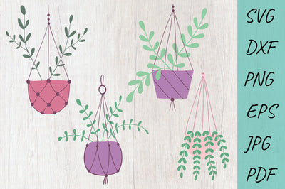 Flower SVG, Hanging plants svg, Potted plant svg, Houseplant SVG Irina Ostapenko 