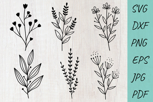 Flower svg, Wildflower svg bundle, Field flower Cute flowers SVG Irina Ostapenko 