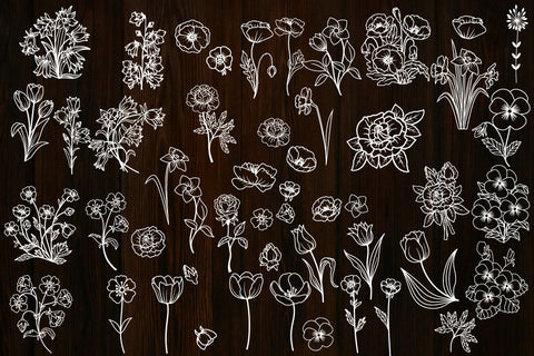 Flowers And Leaves Svg Bundle, Botanical Clipart, Wildflower SVG Yuliya 