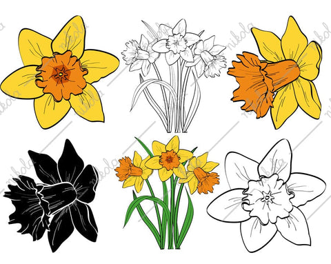 Flowers Bundle Clipart Cut File PNG SVG EPS DXF PDF SVG nikola 