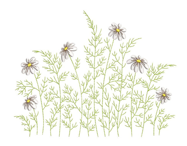 Flowers Machine Embroidery Design, Daisies Embroidery File, 4 sizes, Instant Download Embroidery/Applique DESIGNS Nino Nadaraia 