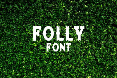 Folly Font Font Carina Gardner