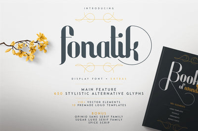 Fonatik Display font + Extras Font VPcreativeshop 