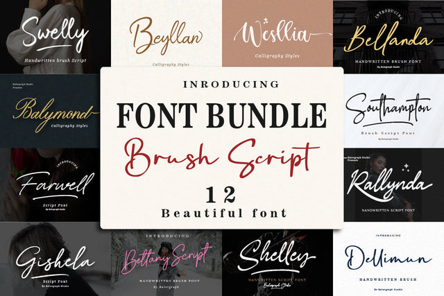 Font Bundle - Handwritten Brush Script Font Balevgraph Studio 