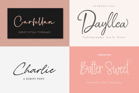 Font Bundle - Handwritten Series Font Balevgraph Studio 