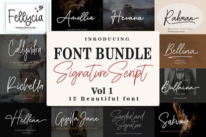 Font Bundle - Handwritten Signature Script Vol 1 Font Balevgraph Studio 
