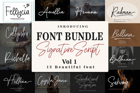 Font Bundle - Handwritten Signature Script Vol 1 Font Balevgraph Studio 