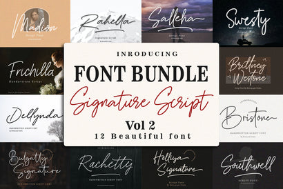 Font Bundle - Handwritten Signature Script Vol 2 Font Balevgraph Studio 