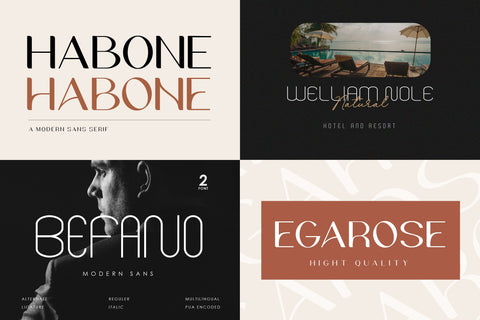 Font Bundle - Modern Sans Serif Vol 2 Font Balevgraph Studio 