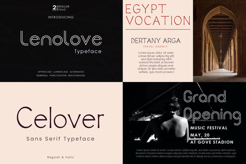 Font Bundle - Modern Sans Serif Vol 2 Font Balevgraph Studio 