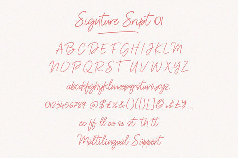 Font Bundle - Signature Script Family Font Balevgraph Studio 