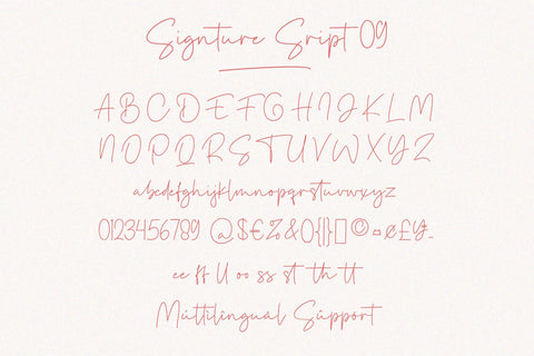 Font Bundle - Signature Script Family Font Balevgraph Studio 