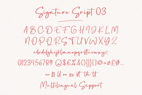 Font Bundle - Signature Script Family Font Balevgraph Studio 