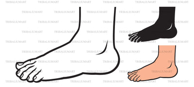 Foot standing SVG TribaliumArtSF 