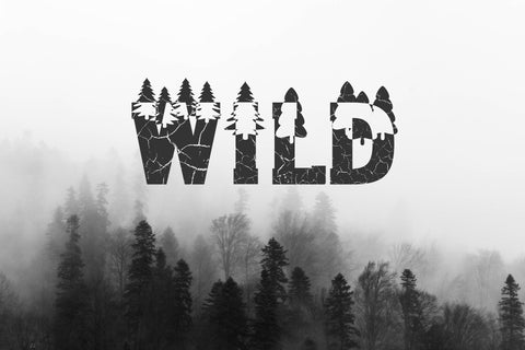 Forest Outdoors Font Font ampersand 