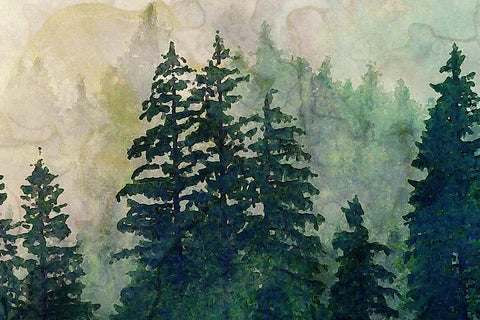 Forest Watercolor Pine Tree Sublimation Clipart PNG JPG Sublimation nikola 