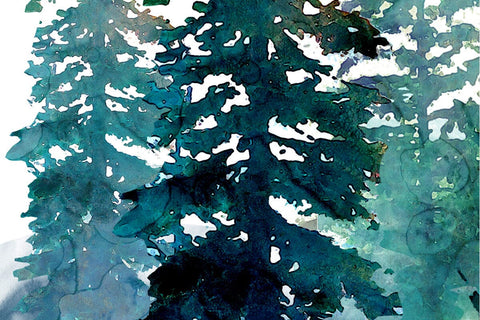 Forest Watercolor Pine Tree Sublimation Clipart PNG Sublimation nikola 