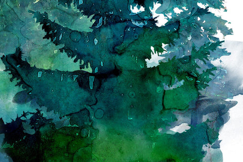 Forest Watercolor Pine Tree Sublimation Clipart PNG Sublimation nikola 