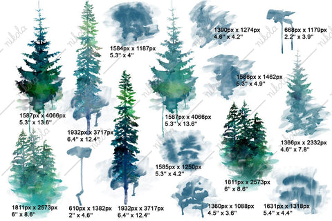 Forest Watercolor Pine Tree Sublimation Clipart PNG Sublimation nikola 