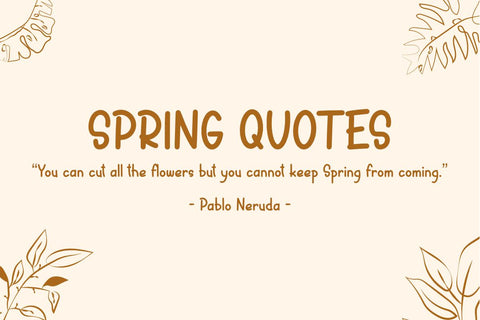 Fortune Cookies Font Masyafi Studio 