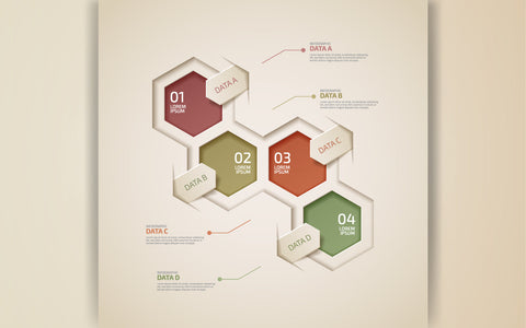 Four realistic hexagonal elements business infographic template with thin line icons SVG naemmiah021 