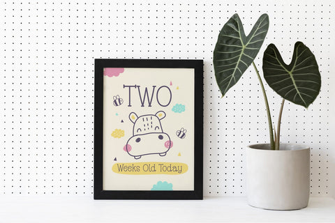 Fox Bestie Font Font Fox7 By Rattana 