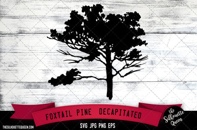 Foxtail Pine (Decapitated) SVG -Vector Art Commercial & Personal Use- Cricut,Silhouette,Cameo,Vinyl Cut SVG Loveleen Kaur 