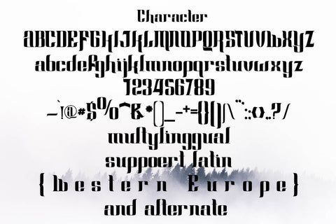 Fraction Font Design Fraction Speed - So Fontsy
