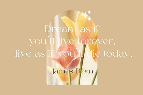 fragile SVG Zeenesia Std 