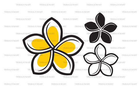 Frangipani flower. Cut files for Cricut. Clip Art silhouette (eps, svg ...