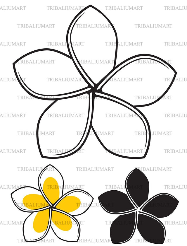 Frangipani Flower SVG TribaliumArtSF 