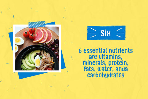 Freely Movable - a Handwritten Font Font nhfonts 