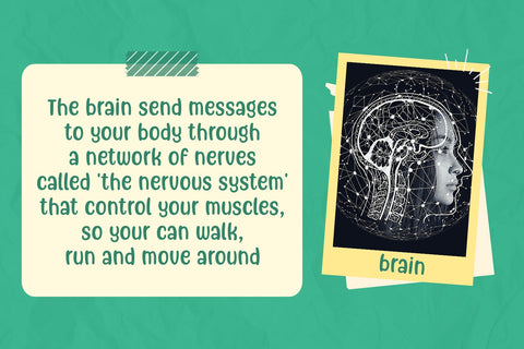 Freely Movable - a Handwritten Font Font nhfonts 