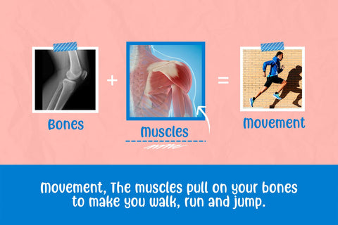 Freely Movable - a Handwritten Font Font nhfonts 