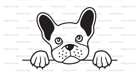 French bulldog design SVG TribaliumArtSF 