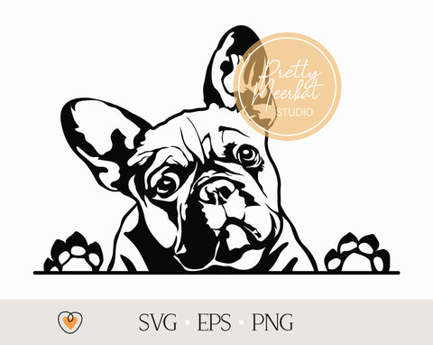 French bulldog svg, Frenchie svg, Dog svg, svg files for cricut, png SVG Pretty Meerkat 