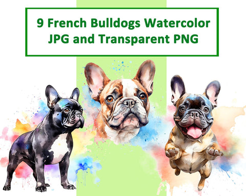 French Bulldog Watercolor JPG PNG Sublimation nikola 