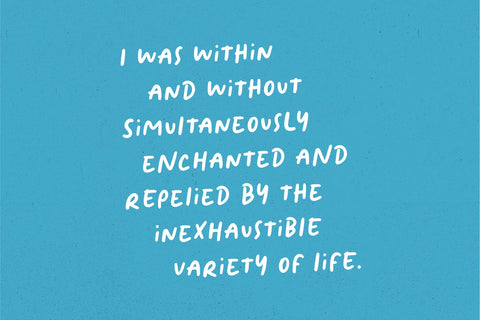 Frenchy - Handwritting Font Font Jimtype Studio 