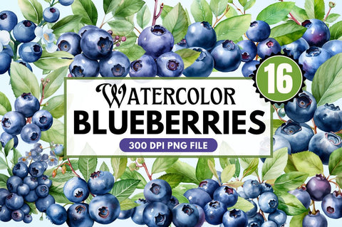 Fresh Blueberries Watercolor Clipart Sublimation Regulrcrative 
