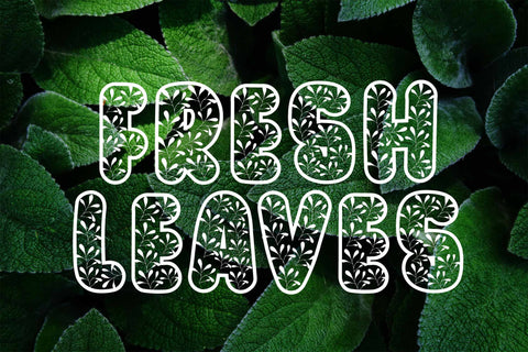 Fresh Leaves Font LetterdayStudio 