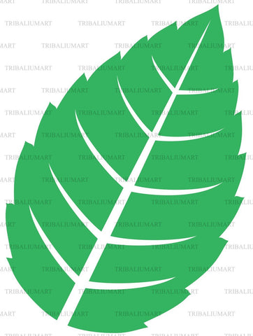 Fresh mint leaf SVG TribaliumArtSF 