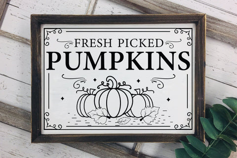 Fresh Picked Pumpkins SVG, Fall Sign SVG SVG CraftLabSVG 