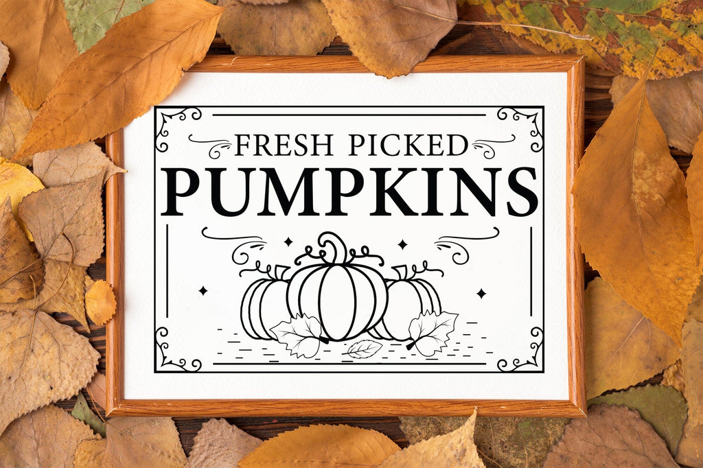 Fresh Picked Pumpkins SVG, Fall Sign SVG - So Fontsy
