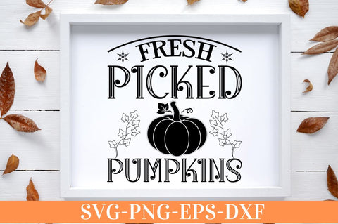 Fresh picked pumpkins SVG SVG DESIGNISTIC 