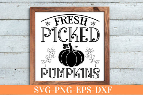Fresh picked pumpkins SVG SVG DESIGNISTIC 