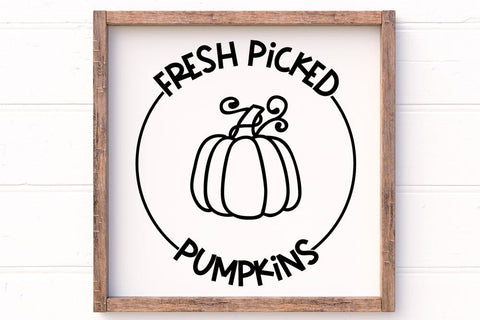 Fresh Picked Pumpkins SVG SVG So Fontsy Design Shop 