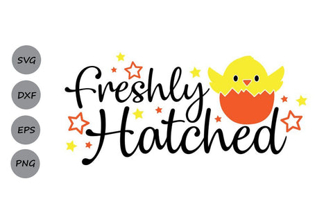 Freshly Hatched| Easter SVG Cutting Files SVG CosmosFineArt 