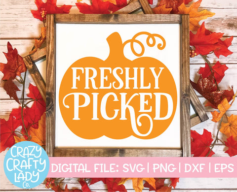 Freshly Picked | Fall SVG Cut File SVG Crazy Crafty Lady Co. 